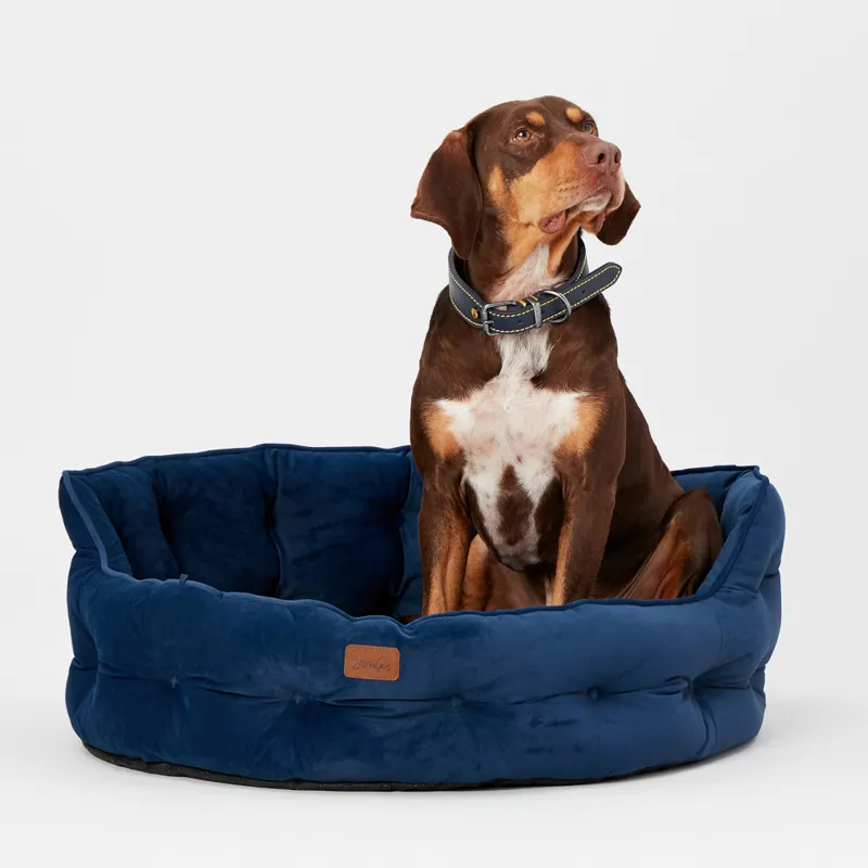 Joules Chesterfield Dog Bed Navy-2